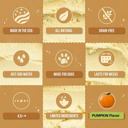 Hoggin' Dogs Ice Cream Mix Pumpkin 4.65 oz