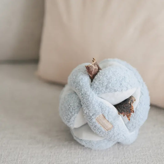 Monti - Enrichment Dog Toy - Baby Blue