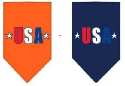 USA Pride Bandana