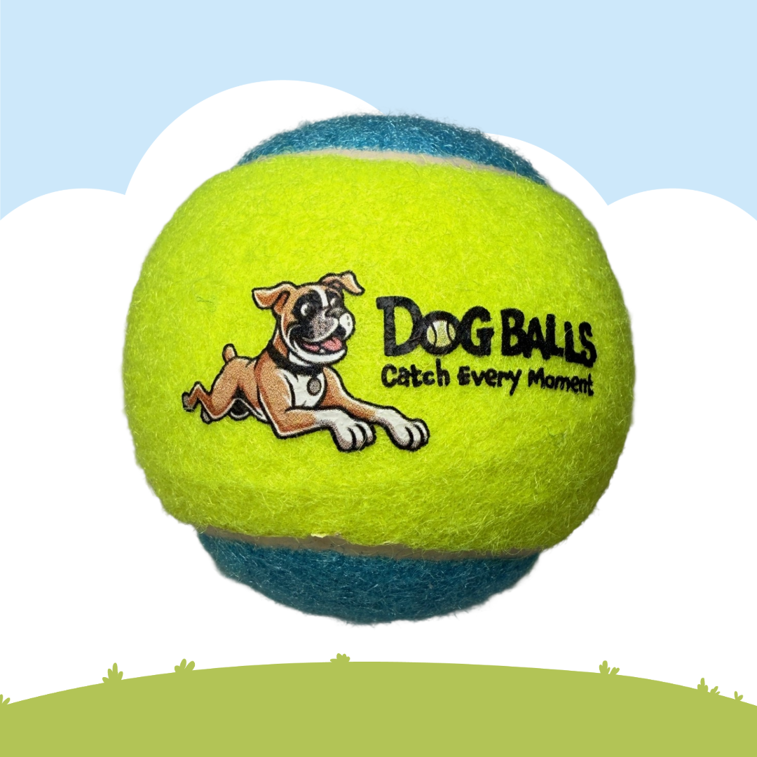 Dog Balls Tennis Balls