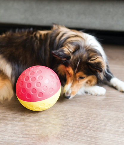 Treat Tumble Interactive Puzzle Dog Toy - Red - Large