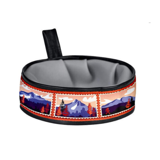 Dog Balls Trail Buddy Travel Dog Bowl