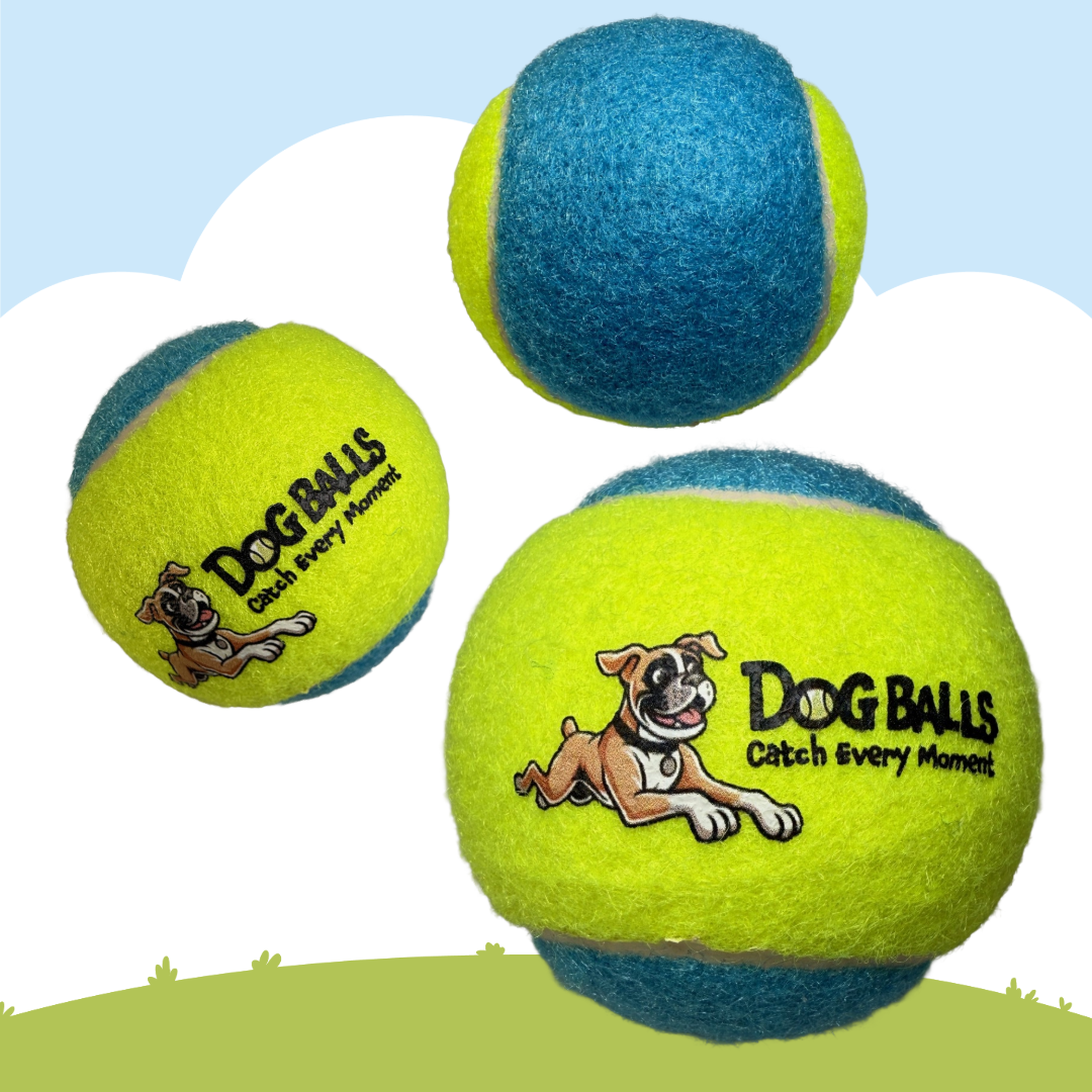 Dog Balls Tennis Balls