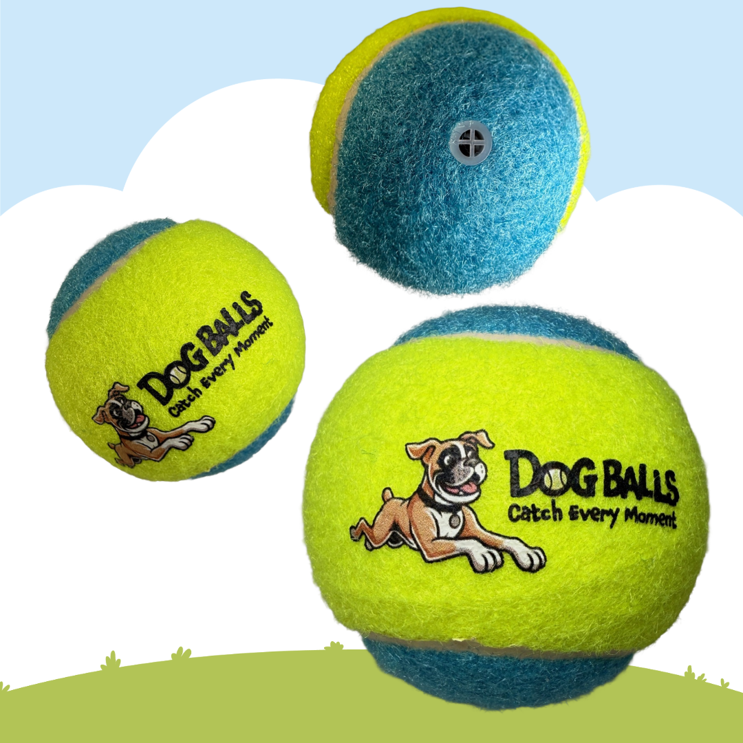 Dog Balls Tennis Balls
