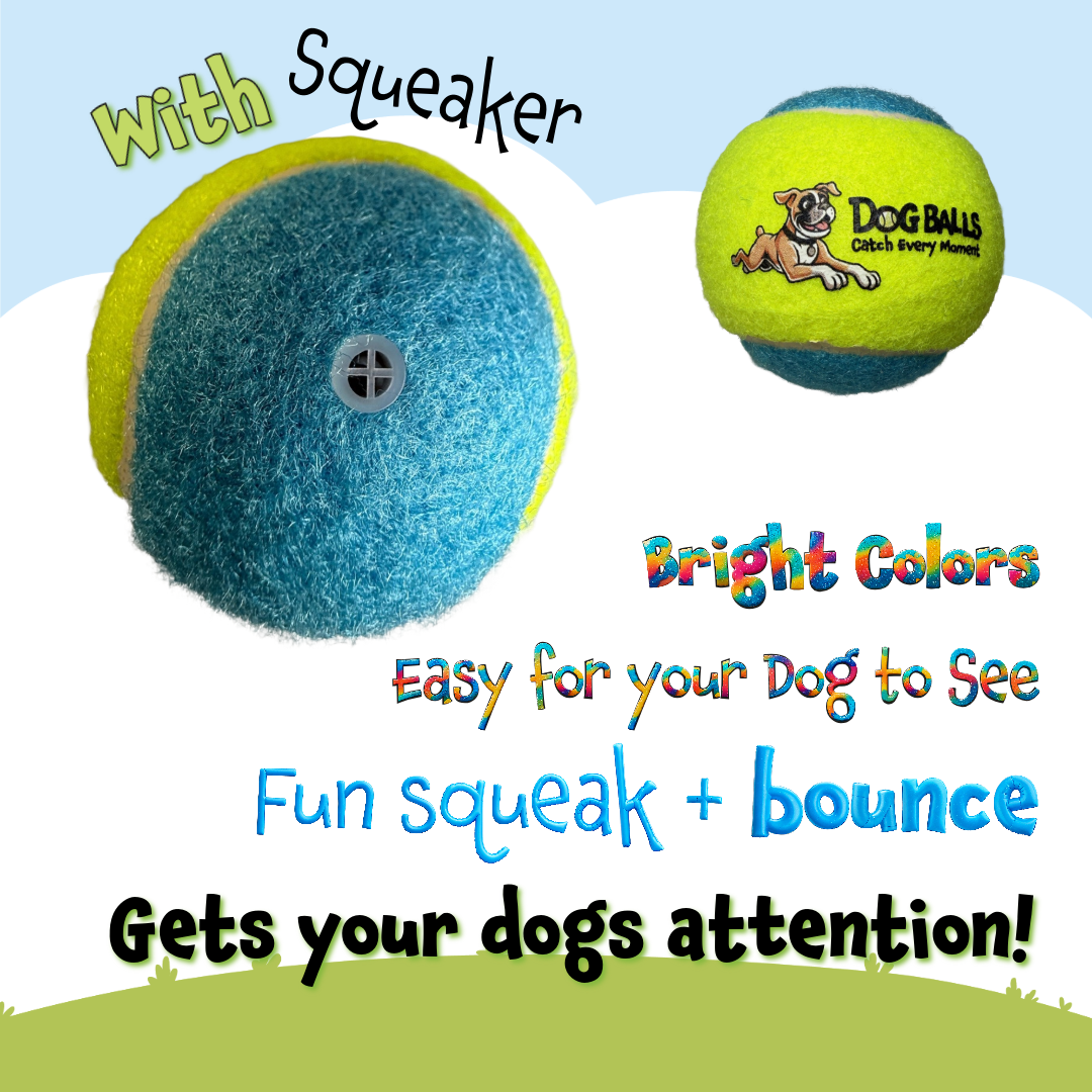 Dog Balls Tennis Balls