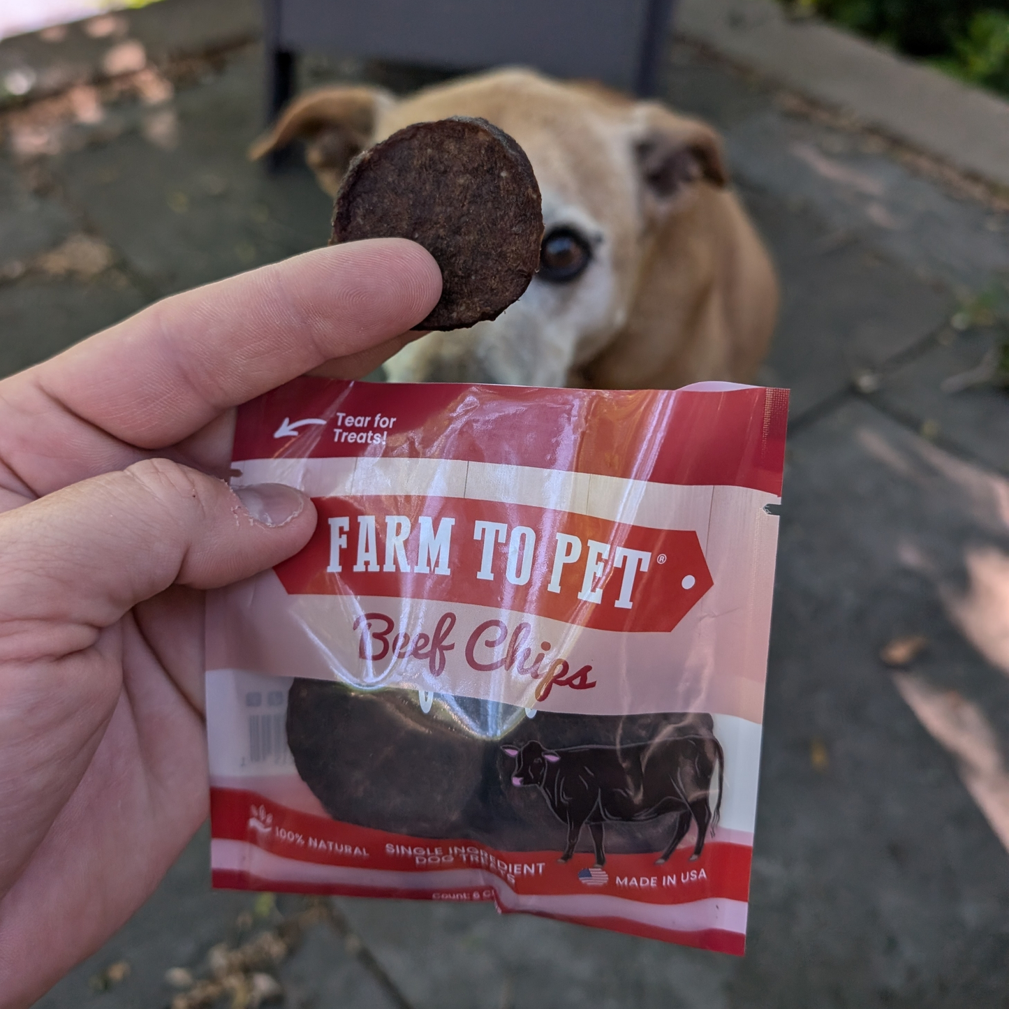 Beef Chips Snack Packs for Dogs