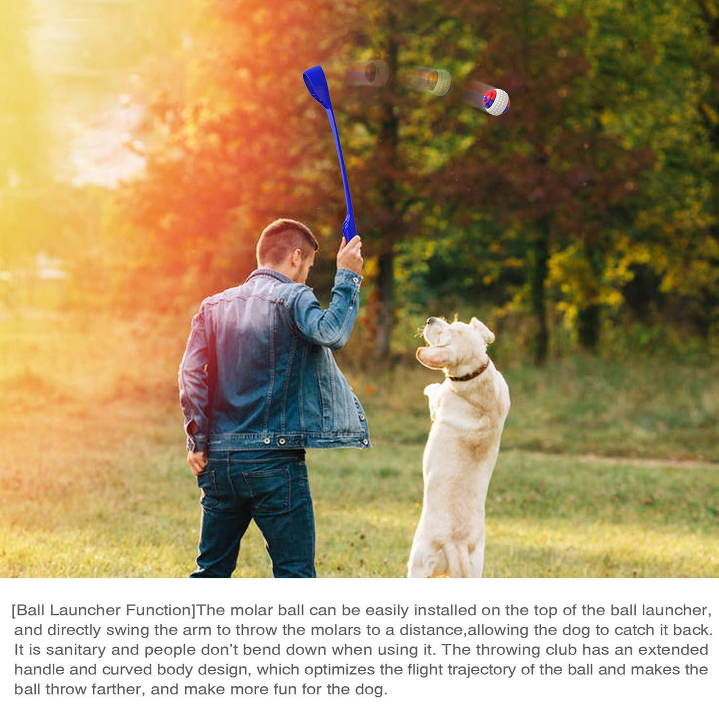 Ball Launcher - Blue - Retractable