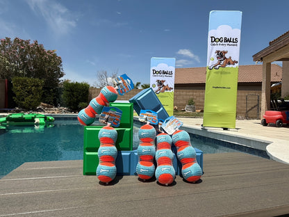 Chuckit! Amphibious Fetch Balls Medium 3 Pack