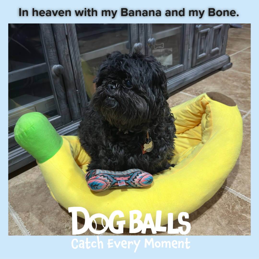Banana Beds!