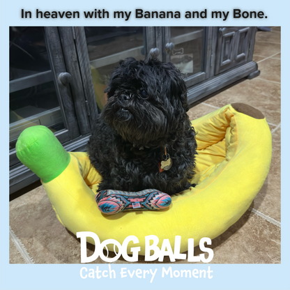 Banana Beds!