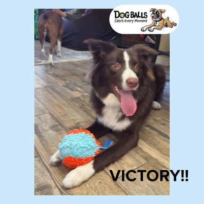 Chuckit! Indoor Ball