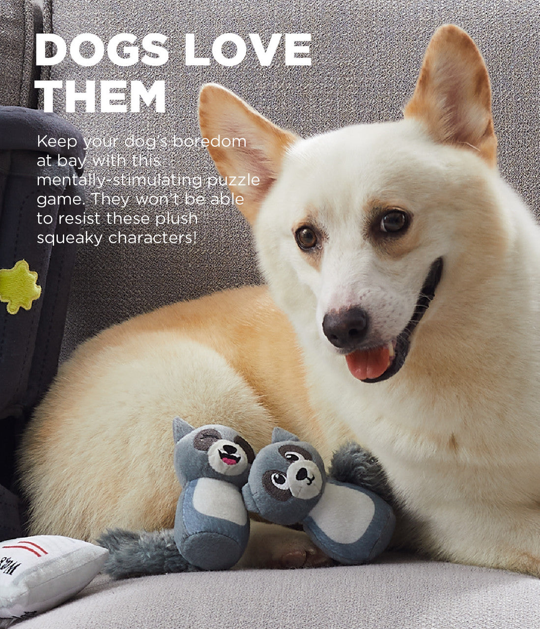 Outward Hound Hide a Racoon Plush Dog Toy Puzzle