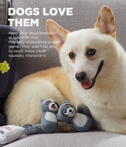 Outward Hound Hide a Racoon Plush Dog Toy Puzzle