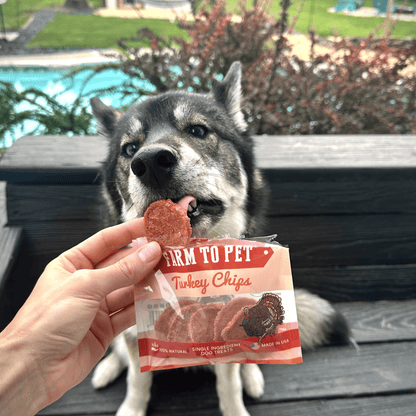 Turkey Chips Snack Packs for Dogs