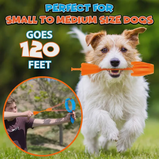 Strike Fetch Dog Dart by Ring