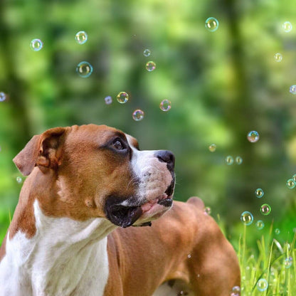 Pet Qwerks Peanut Butter IncrediBubbles for Dogs