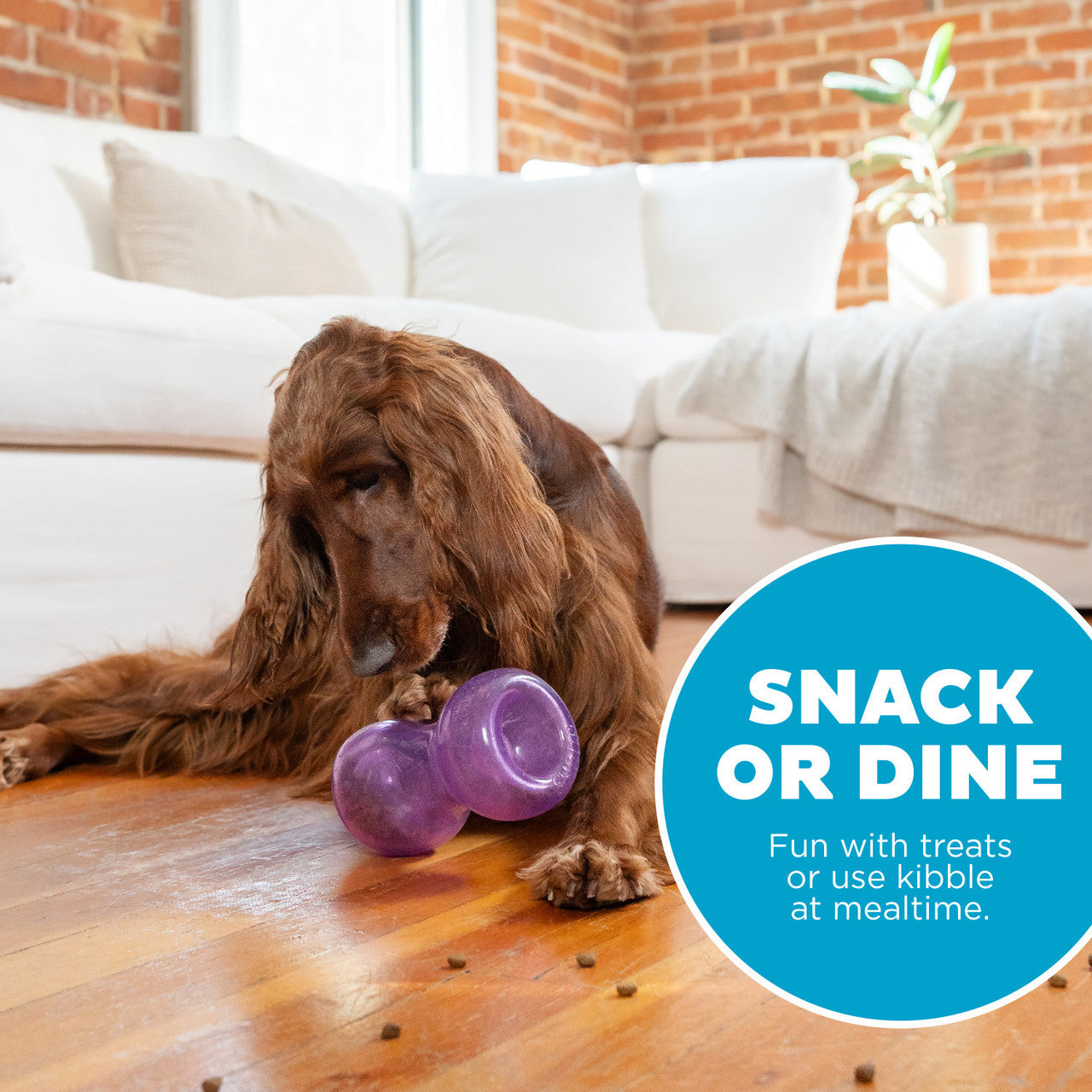 Double Snoop Interactive Treat Stuffer Dog Toy, Purple