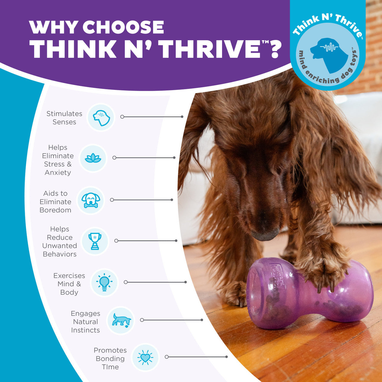 Double Snoop Interactive Treat Stuffer Dog Toy, Purple