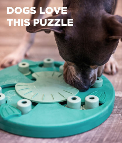 MasterMind™ Puzzle Pack – Beat Boredom. Boost Brainpower.