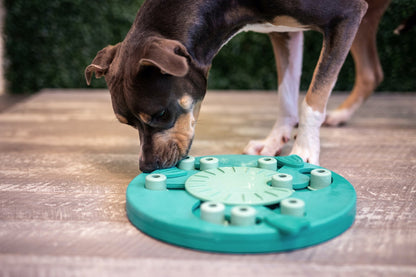 MasterMind™ Puzzle Pack – Beat Boredom. Boost Brainpower.
