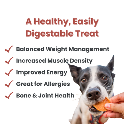 Chicken Chips Dog Treats