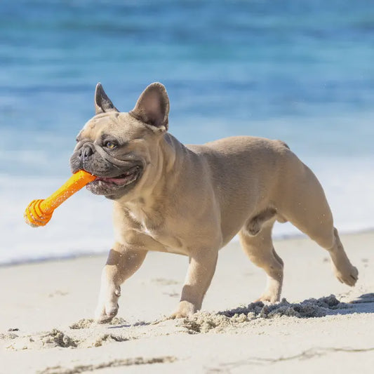 Hive Fetch Stick - Fresh Scent