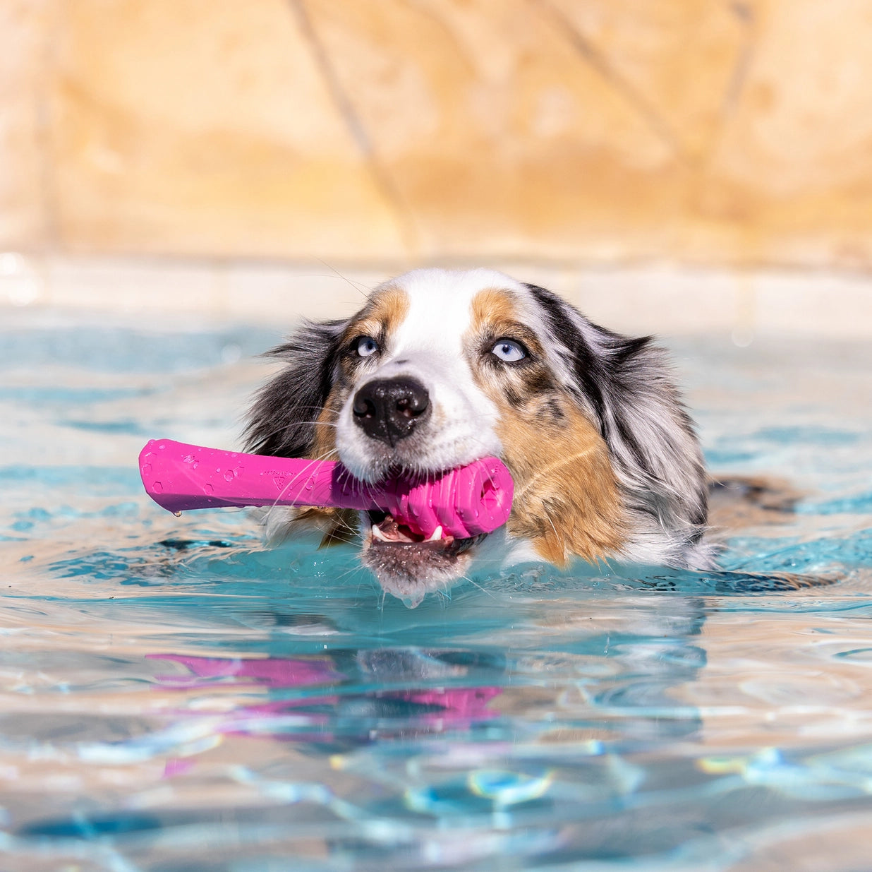 Hive Fetch Stick - Fresh Scent