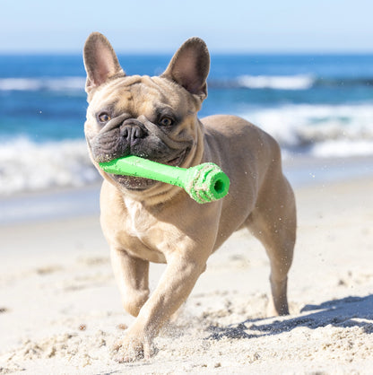 Hive Fetch Stick - Fresh Scent