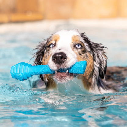 Hive Fetch Stick - Fresh Scent