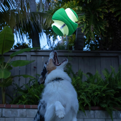 Chuckit! Kick Fetch Max Glow