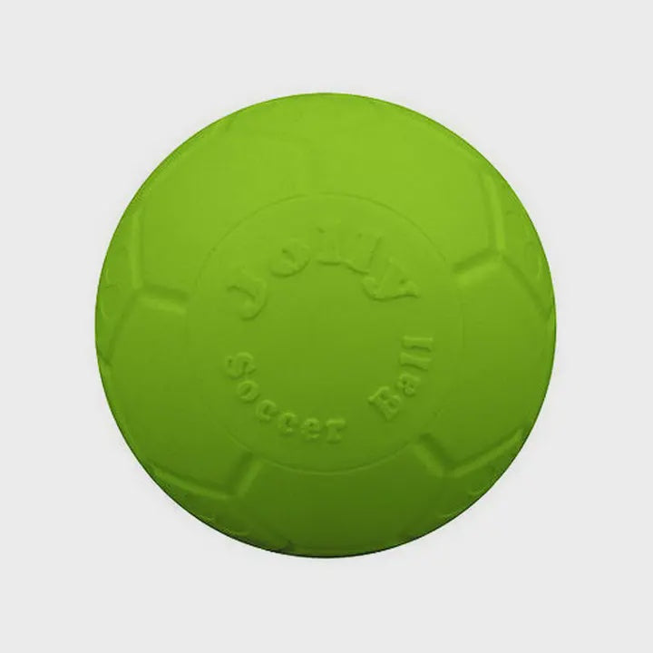 Jollypet Soccer Jolly Ball 8" Green