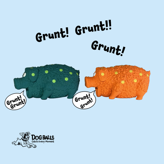 Grunting Textured Piggy
