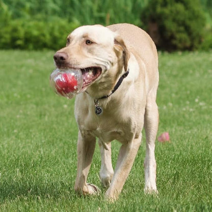 Hero Squeakables Amazing Bone Ball - Green