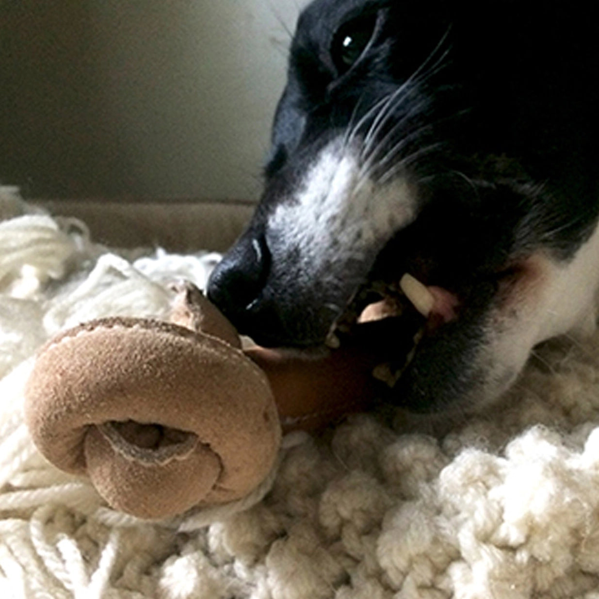 Huggle Hide Natural Leather Knotted Bone