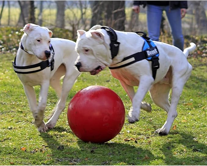 Jollypet Push-N-Play 4.5inch Red