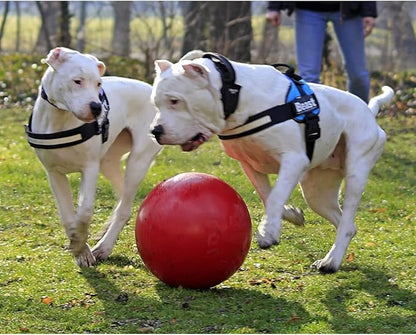 Jollypet Push-N-Play 4.5inch Red