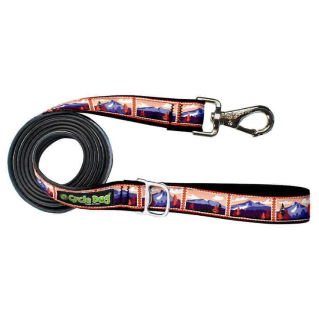 Dog Balls Leash
