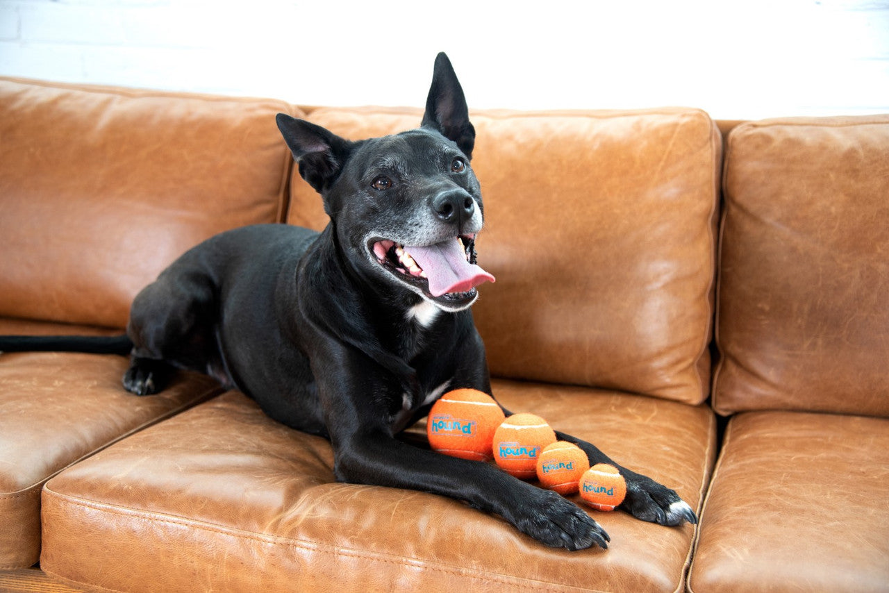 Outward Hound Squeaker Ballz - Multicolor 4 pack - Small