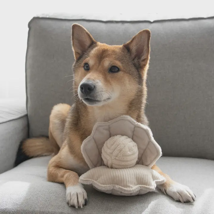 Oyster Pop//Enrichment Dog Toy
