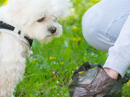 Poop Bags