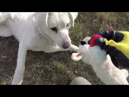 Lamb Chop 18" Plush Dog Toy