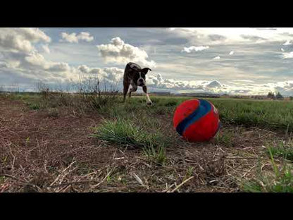 Chuckit! Kick Fetch Dog Toy