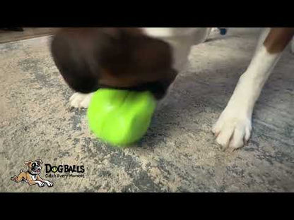 Hero Squeakables Amazing Bone Ball - Green
