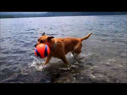 Chuckit! Kick Fetch Dog Toy