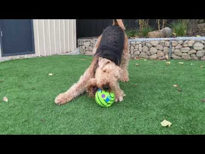Giggle Wiggle Ball - Treat Feeder