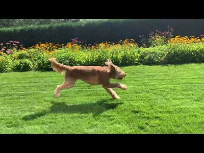 Hive Fetch Stick - Fresh Scent