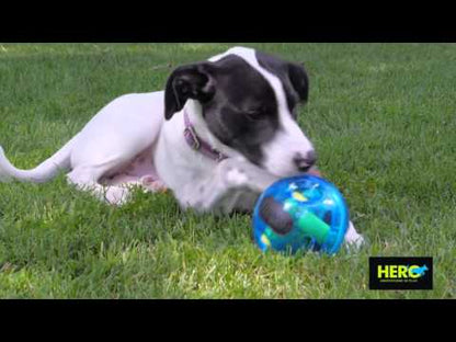 Hero Giggle Ball AND Treat Dispenser!!