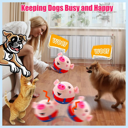 Rollin Piggy