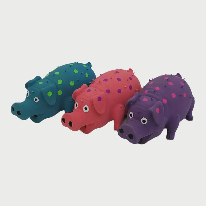 Squeaking Piggy - Small & Medium