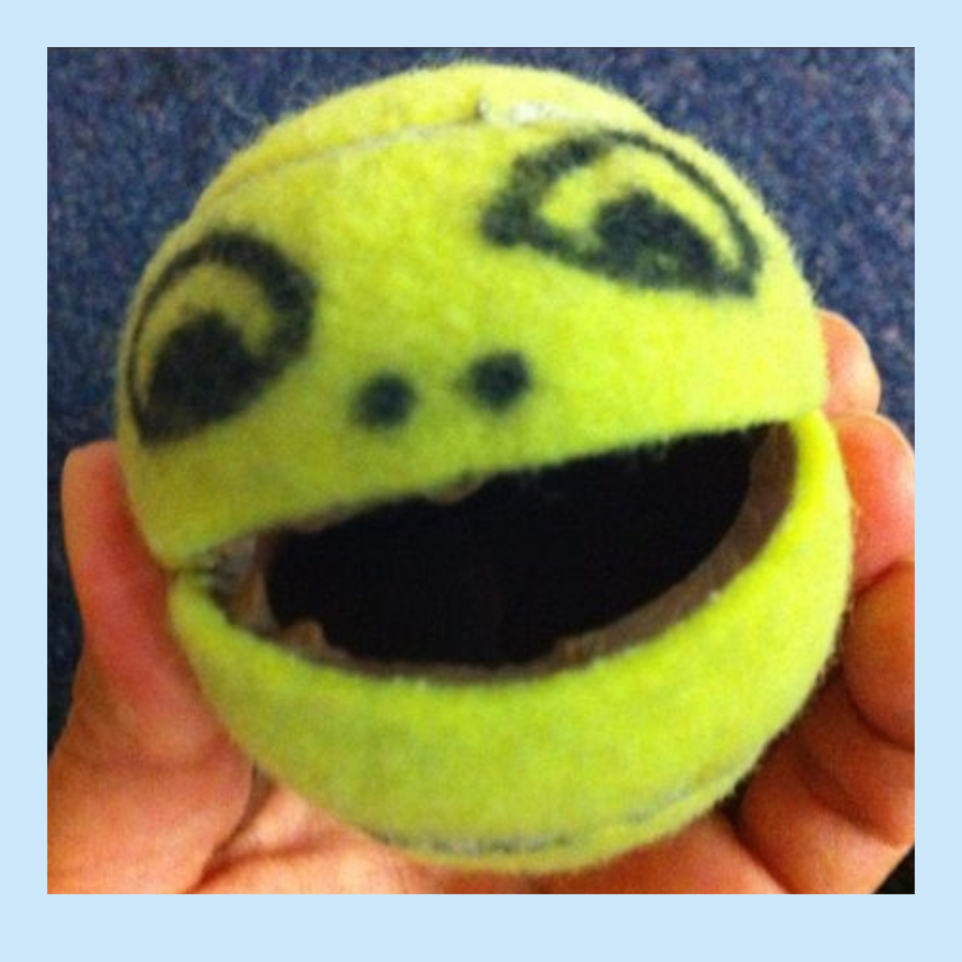 New Life Tennis Balls